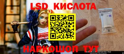 СК Малоярославец