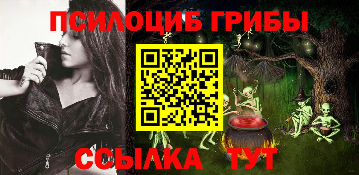 Урюпинск  Псилоцибиновые грибы Magic Shrooms  Вход с VPN  Псилоцибиновые грибы прущие грибы 