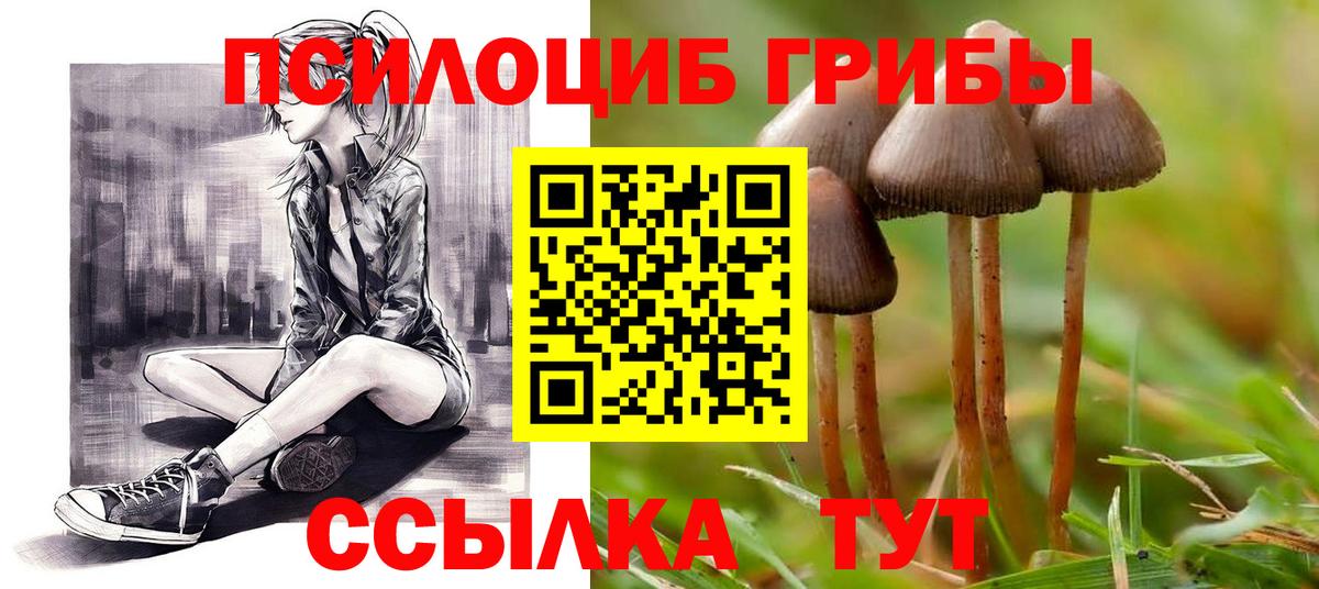 Псилоцибиновые грибы MAGIC MUSHROOMS Урюпинск